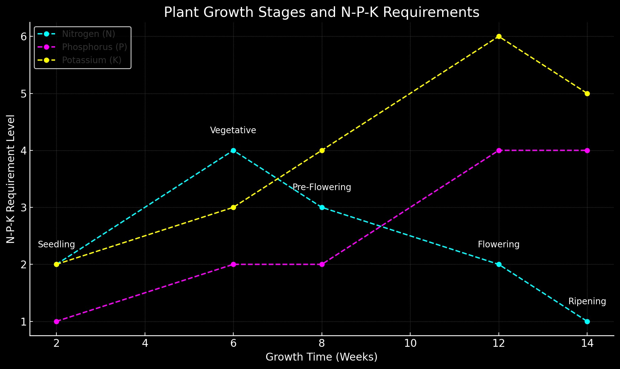 Growth Chart for Plant Stages and Nutrient Needs